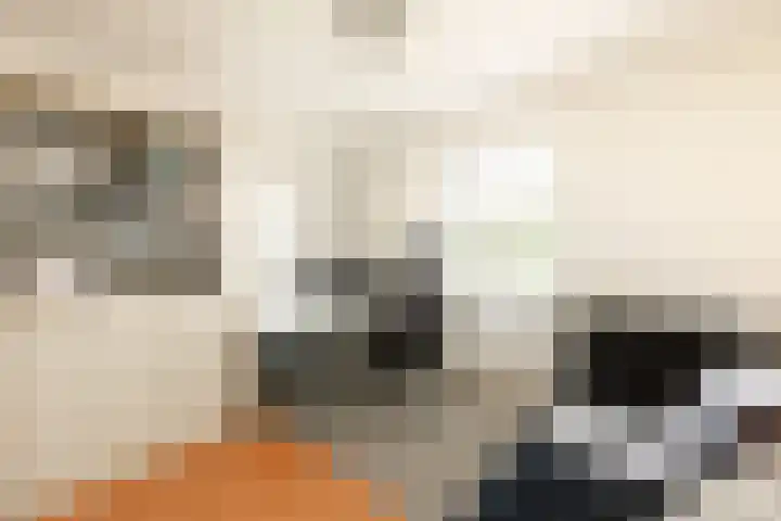 It Hôf 8 Makkum thumbnail 7