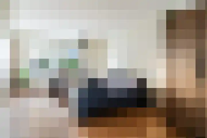 It Houtstek 13 Reduzum thumbnail 10