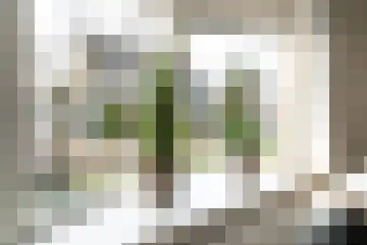 It Houtstek 13 Reduzum thumbnail 12