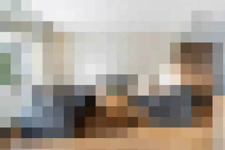 It Houtstek 13 Reduzum thumbnail 13