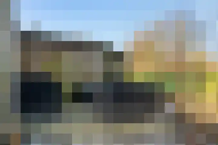 It Houtstek 13 Reduzum thumbnail 25