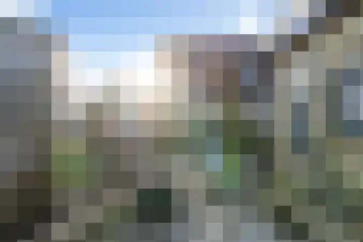 It Houtstek 13 Reduzum thumbnail 26