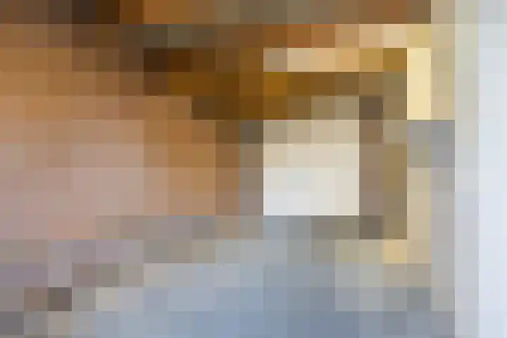 It Houtstek 13 Reduzum thumbnail 28