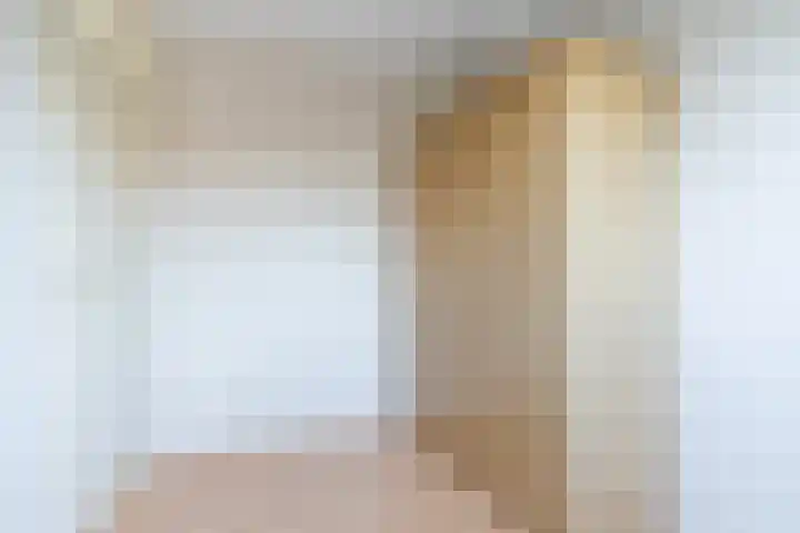 It Houtstek 13 Reduzum thumbnail 35