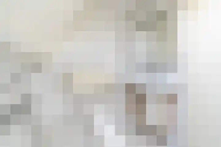 It Houtstek 13 Reduzum thumbnail 40