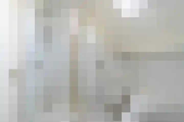 It Houtstek 13 Reduzum thumbnail 41