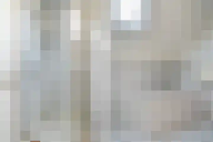 It Houtstek 13 Reduzum thumbnail 42