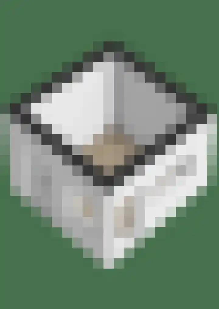It Houtstek 13 Reduzum thumbnail 51