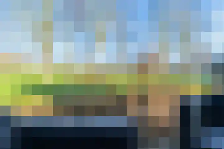 It Houtstek 13 Reduzum thumbnail 6