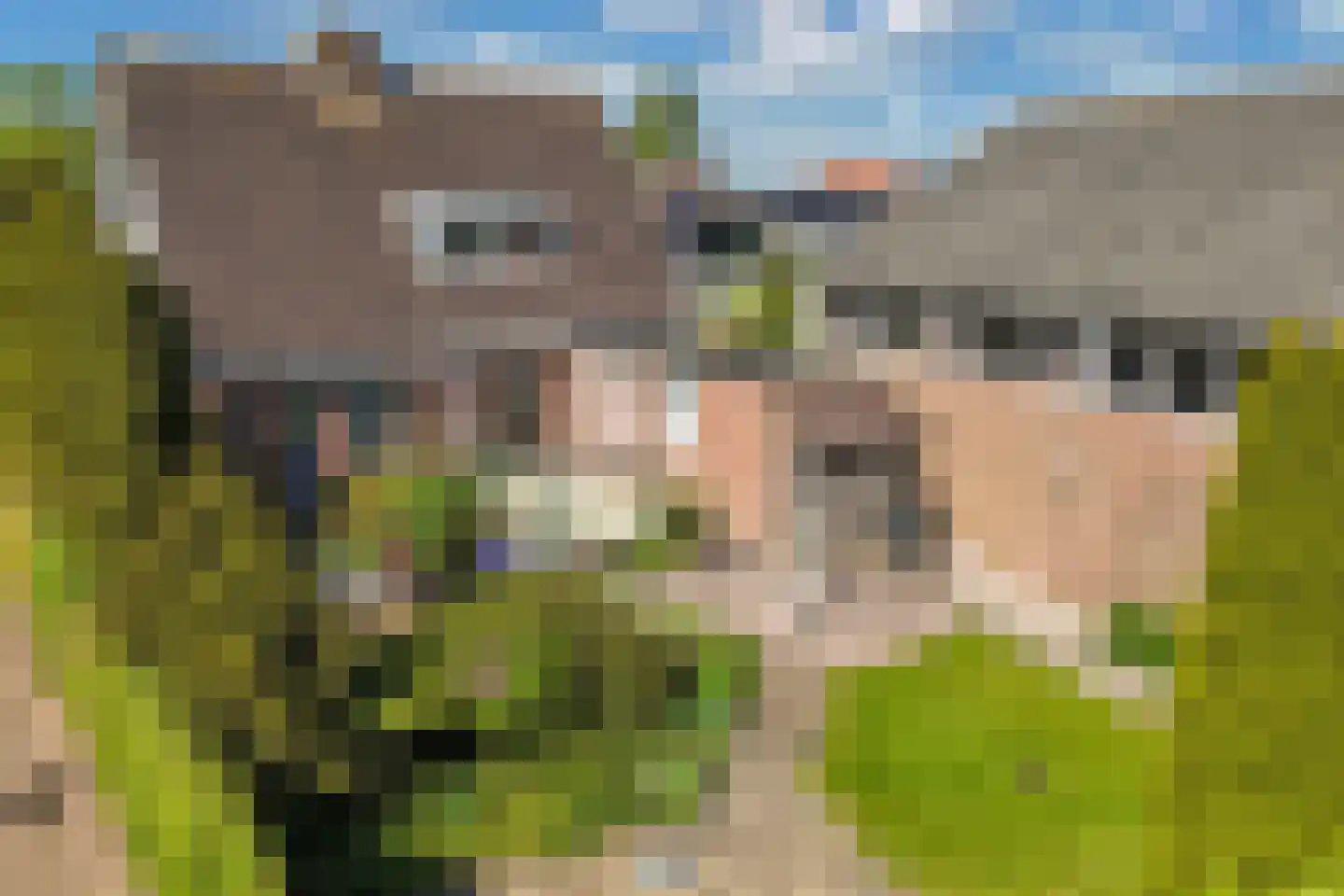 It Hynstewaed 13 Easterlittens thumbnail 43
