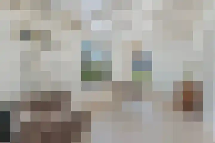 It Hynstewaed 4 Easterlittens thumbnail 13