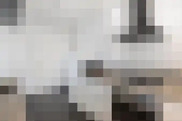 It Hynstewaed 4 Easterlittens thumbnail 18