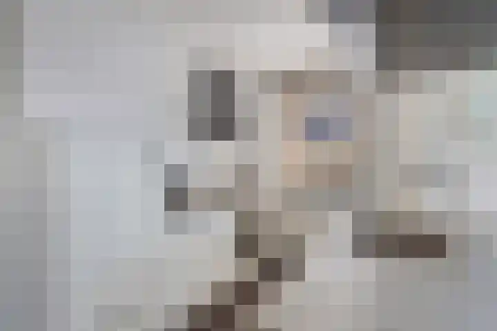 It Hynstewaed 4 Easterlittens thumbnail 19
