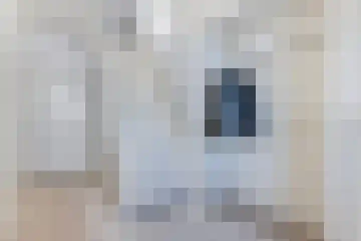 It Hynstewaed 4 Easterlittens thumbnail 28