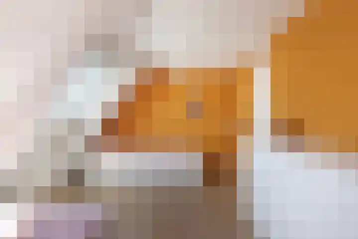 It Hynstewaed 4 Easterlittens thumbnail 47
