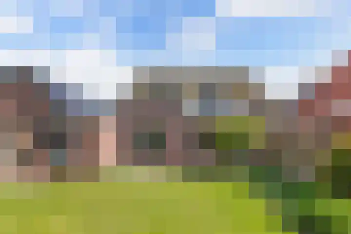 It Hynstewaed 4 Easterlittens thumbnail 53