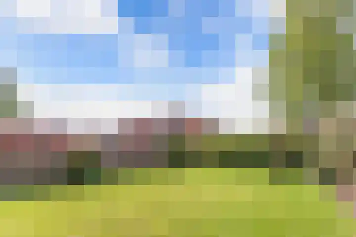 It Hynstewaed 4 Easterlittens thumbnail 57