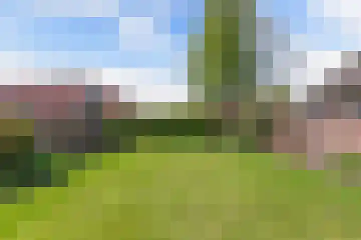 It Hynstewaed 4 Easterlittens thumbnail 58