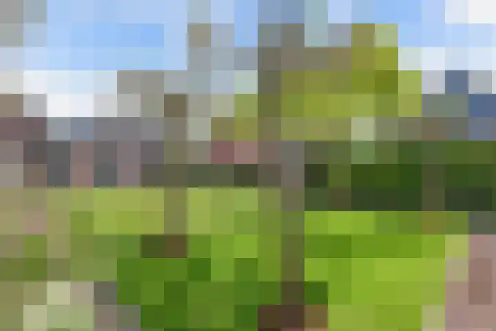 It Hynstewaed 4 Easterlittens thumbnail 61