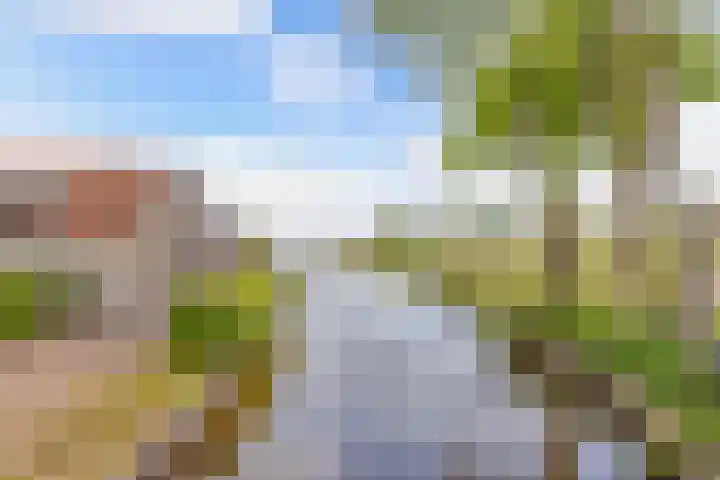 It Hynstewaed 4 Easterlittens thumbnail 73