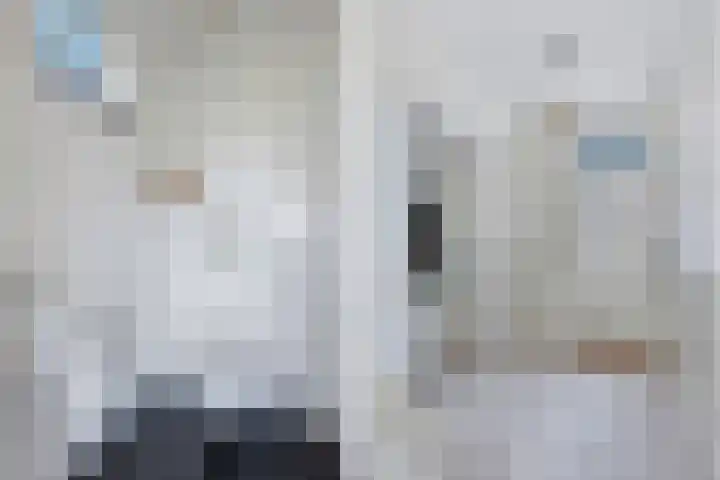 It Hynstewaed 4 Easterlittens thumbnail 8