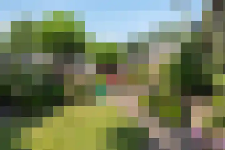 It Kleaster 19 Stiens thumbnail 25