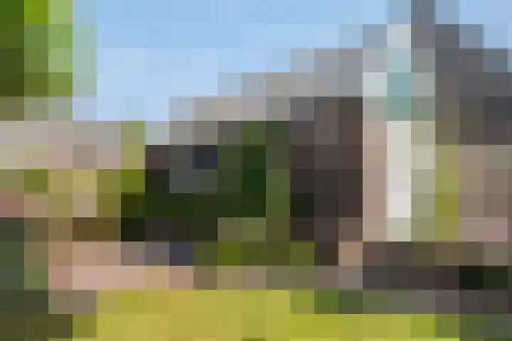 It Kleaster 19 Stiens thumbnail 26