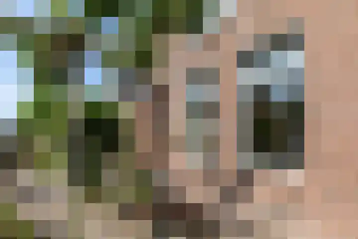 It Kleaster 19 Stiens thumbnail 30