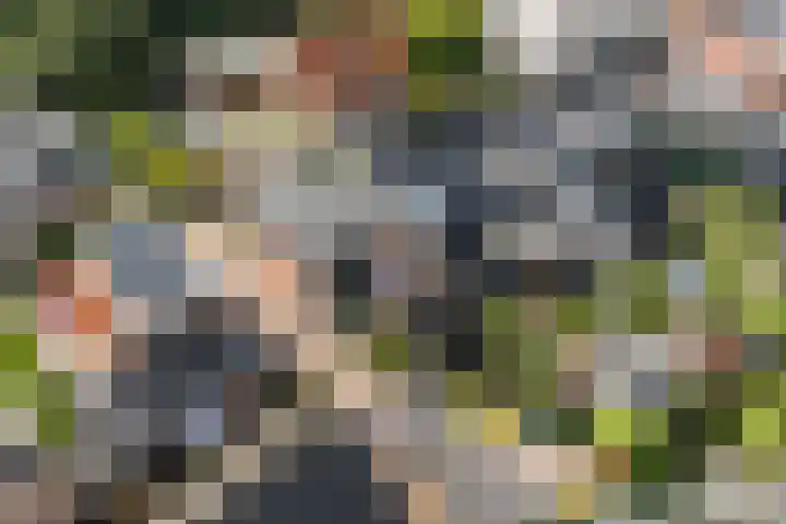 It Kleaster 19 Stiens thumbnail 46