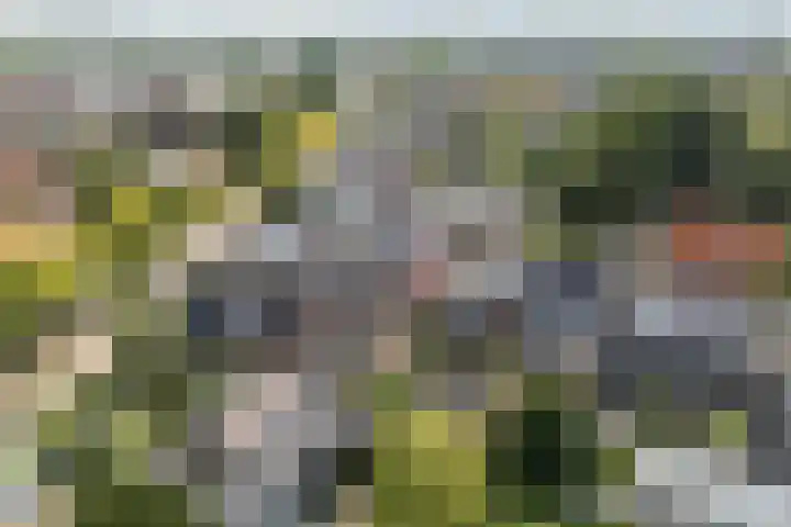 It Kleaster 19 Stiens thumbnail 48