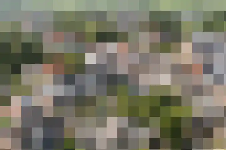 It Kleaster 19 Stiens thumbnail 50