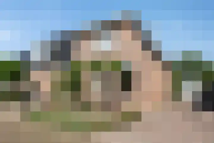 It Kleaster 19 Stiens thumbnail 64