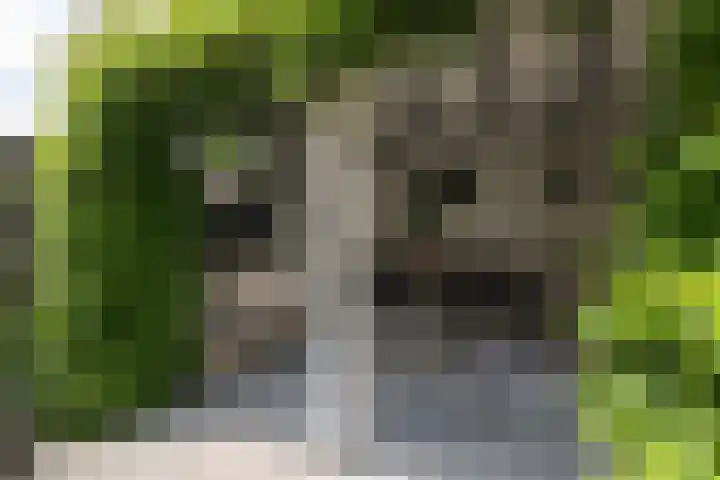 It Klif 2 Bolsward thumbnail 28