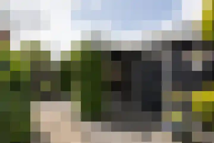 It Klif 2 Bolsward thumbnail 29