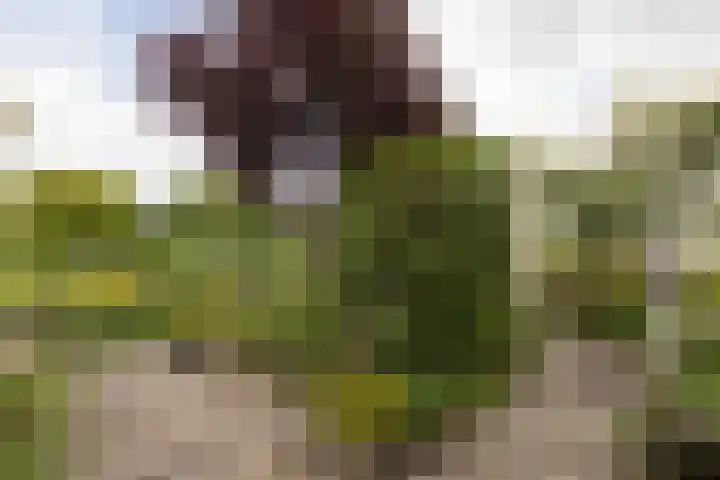 It Klif 2 Bolsward thumbnail 37