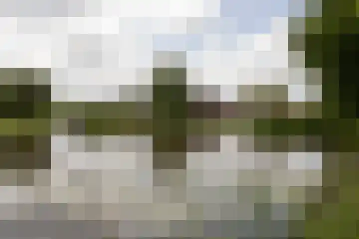 It Klif 2 Bolsward thumbnail 42
