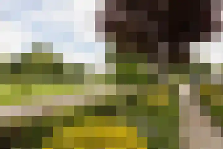 It Klif 2 Bolsward thumbnail 44