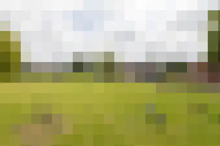 It Klif 2 Bolsward thumbnail 45