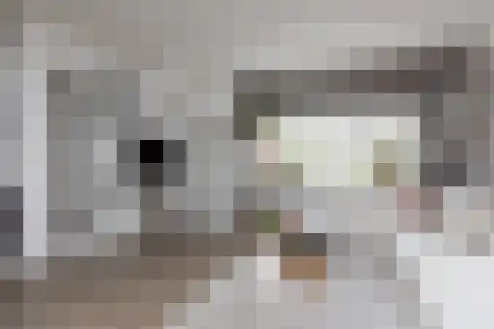 It Klif 2 Bolsward thumbnail 5