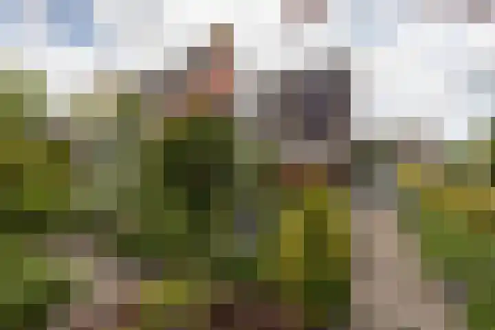 It Klif 2 Bolsward thumbnail 50