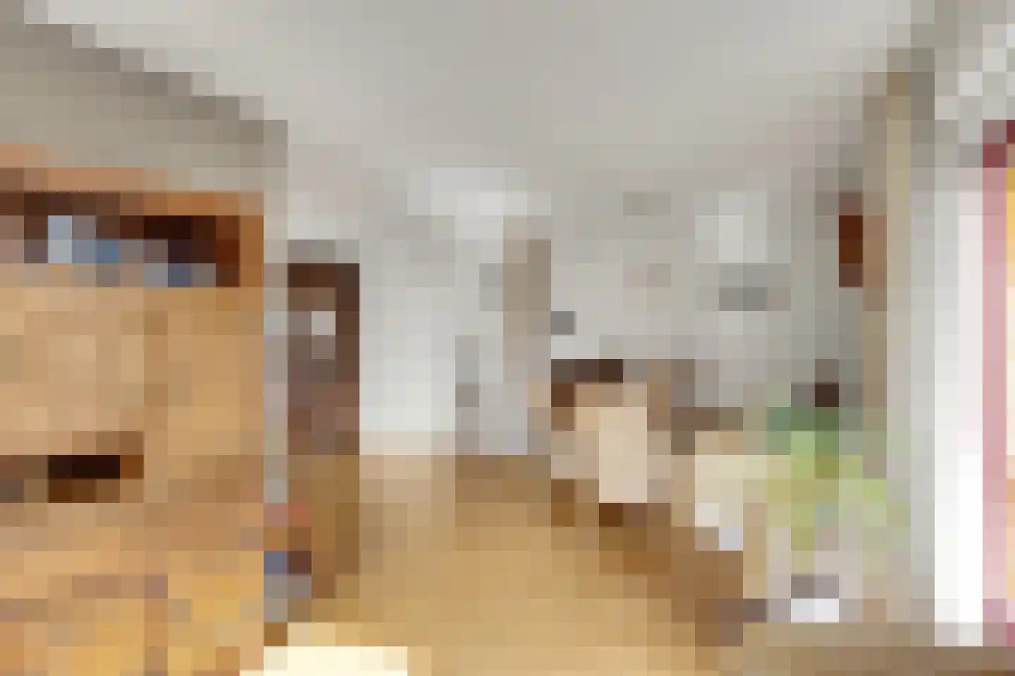 It Koekoekslân 11 Arum thumbnail 15