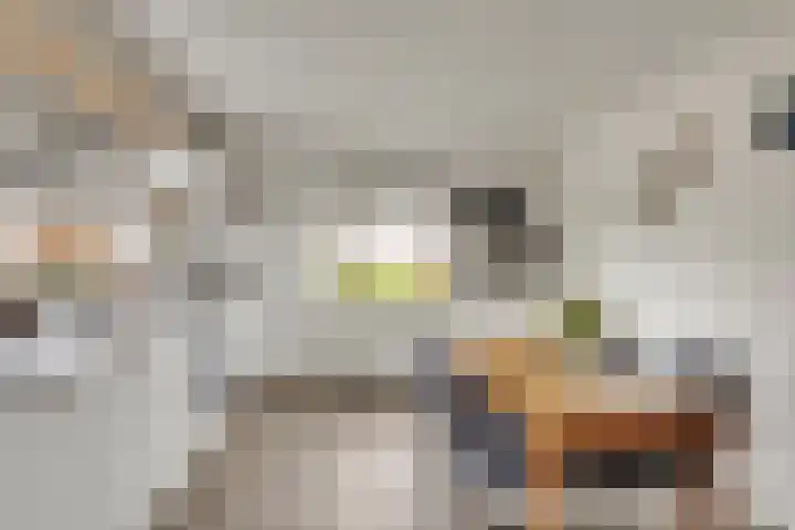 It Koekoekslân 11 Arum thumbnail 16