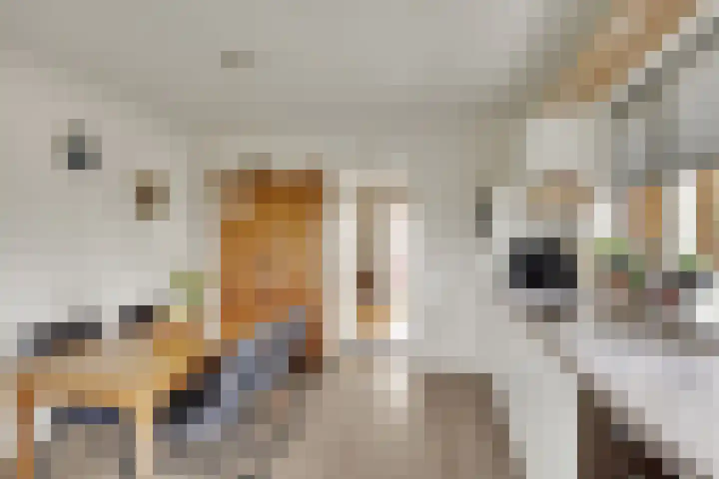 It Koekoekslân 11 Arum thumbnail 18