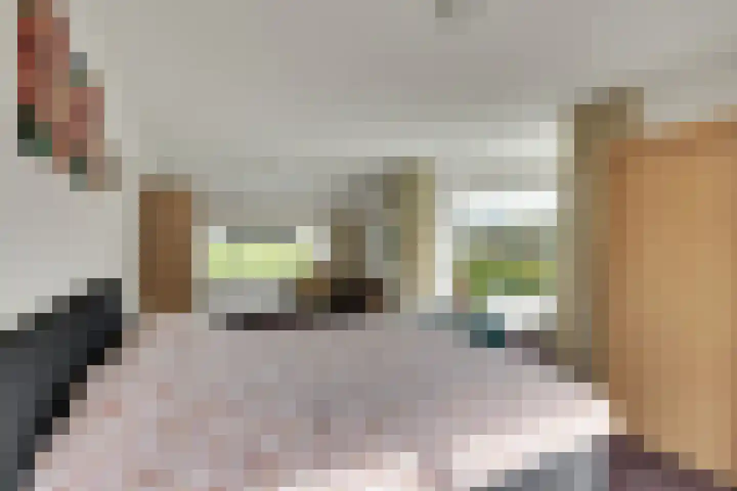 It Koekoekslân 11 Arum thumbnail 22