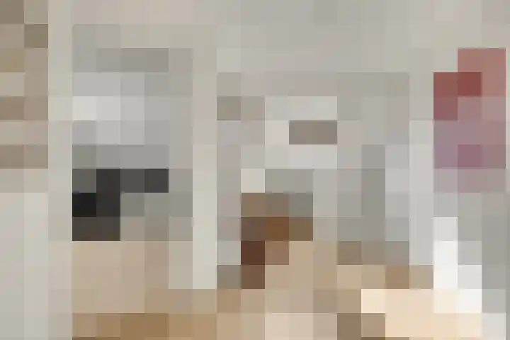 It Koekoekslân 11 Arum thumbnail 28