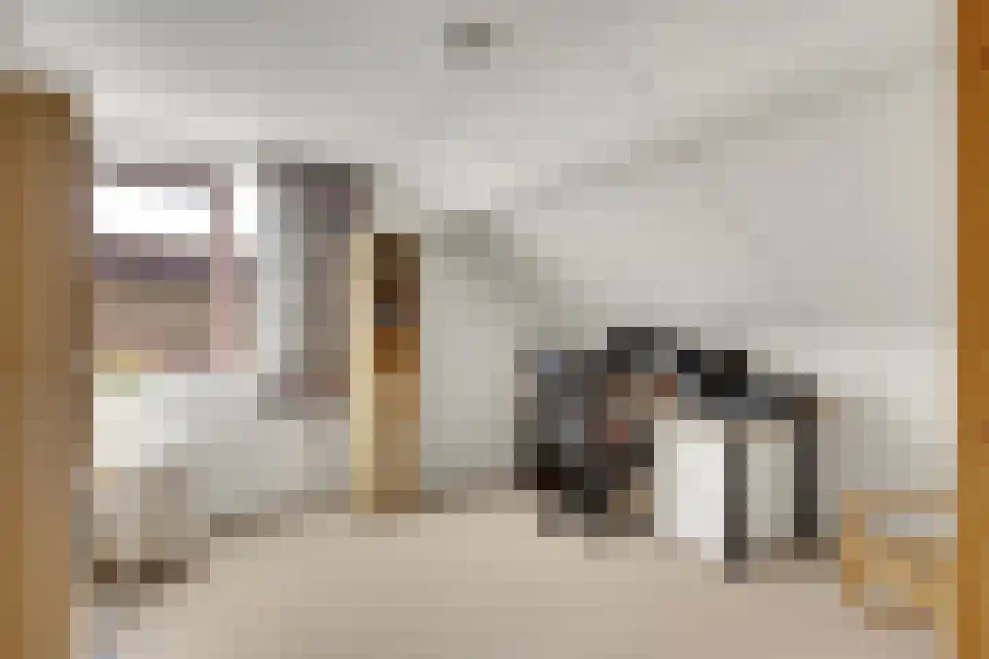 It Koekoekslân 11 Arum thumbnail 29