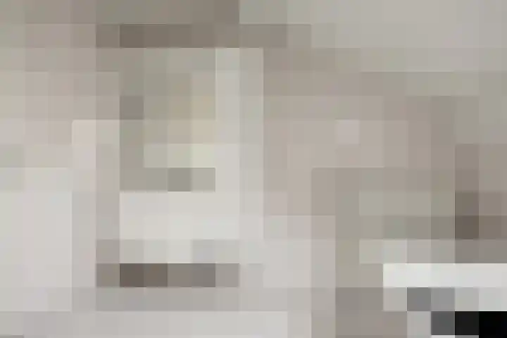 It Koekoekslân 11 Arum thumbnail 33