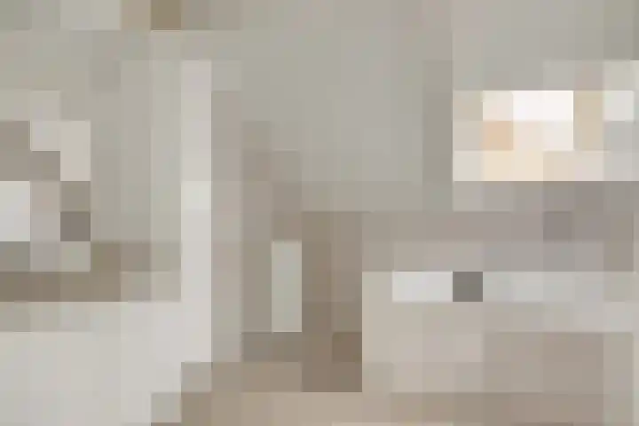 It Koekoekslân 11 Arum thumbnail 34