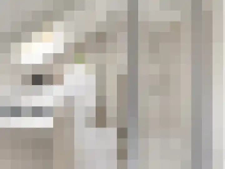 It Koekoekslân 11 Arum thumbnail 35