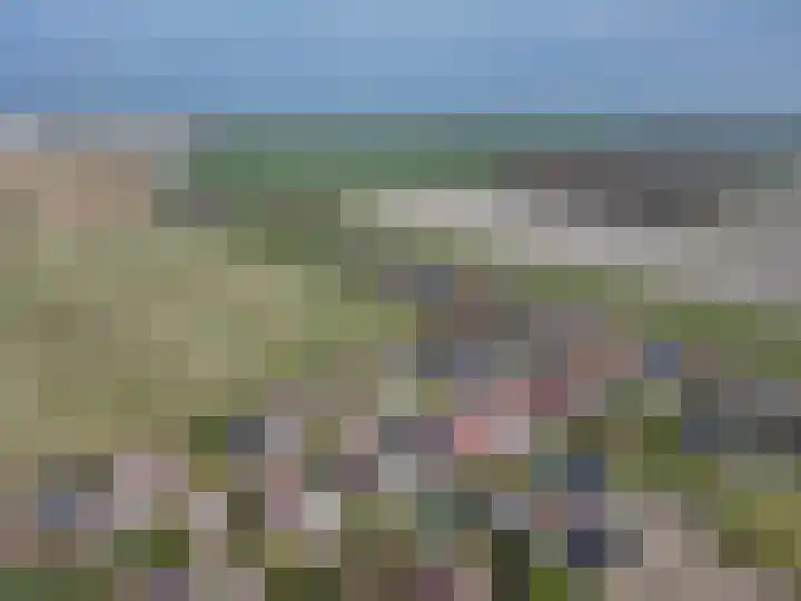 It Koekoekslân 11 Arum thumbnail 4